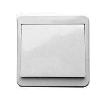 Выключатель 1кл о/у А16-114 (Орша) Э9631